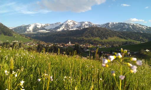 Mountains around Hittisau