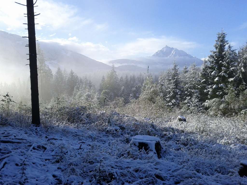 Wintery scene